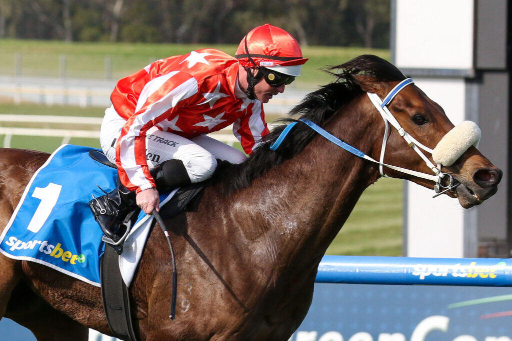 Jockey in red-and-white star-patterned silks riding a dark brown horse with a blue saddlecloth during a race, race track visible in the background.
