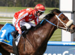 Jockey in red-and-white star-patterned silks riding a dark brown horse with a blue saddlecloth during a race, race track visible in the background.