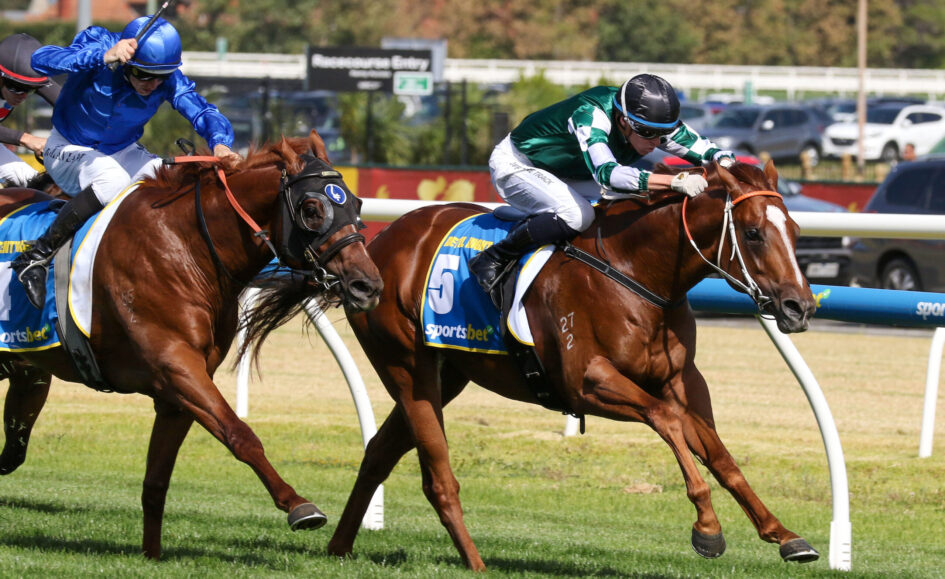 Jockeys race brown horses on a grassy turf, blue and green silks visible, mid-turn action.