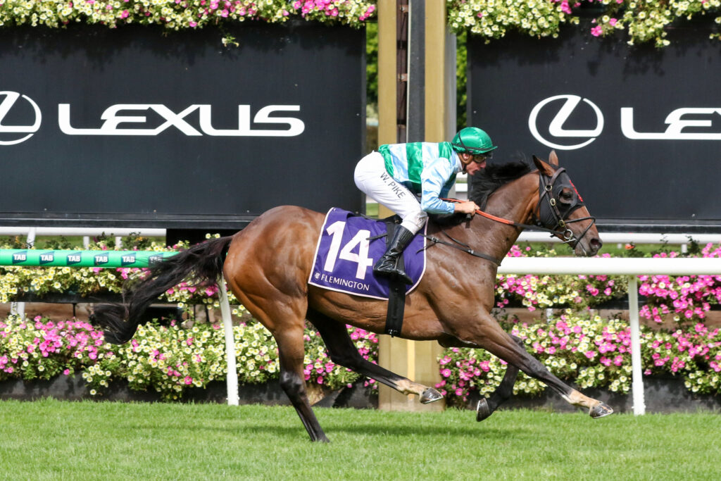 Jockey in green and white silks rides a brown horse with a purple 14 saddle cloth during a race, Lexus banners in the background.