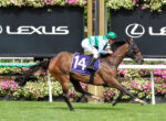Jockey in green and white silks rides a brown horse with a purple 14 saddle cloth during a race, Lexus banners in the background.