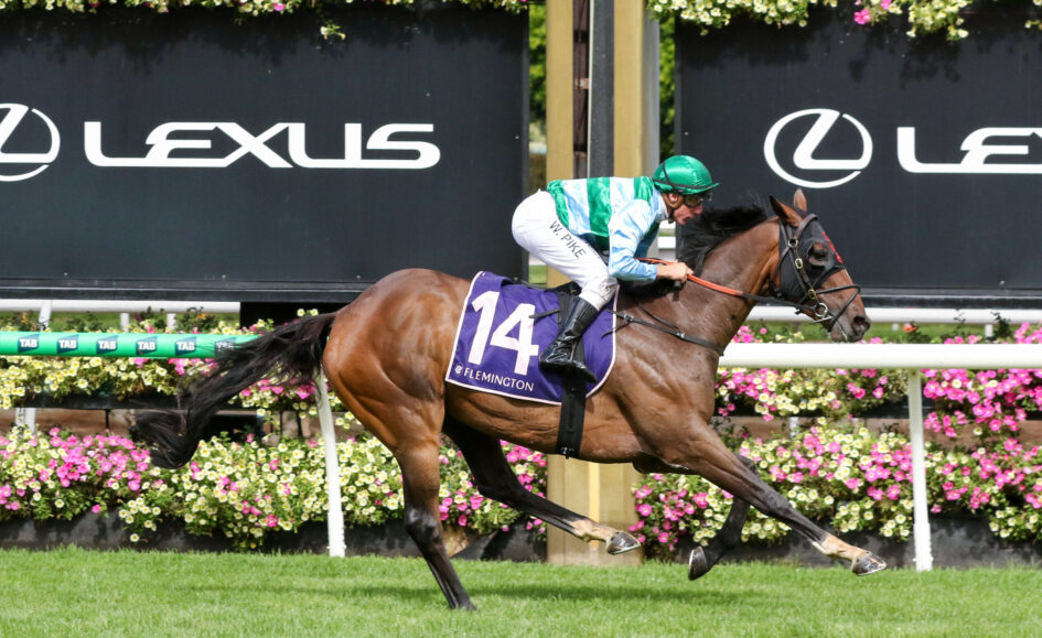 Jockey in green and white silks rides a brown horse with a purple 14 saddle cloth during a race, Lexus banners in the background.