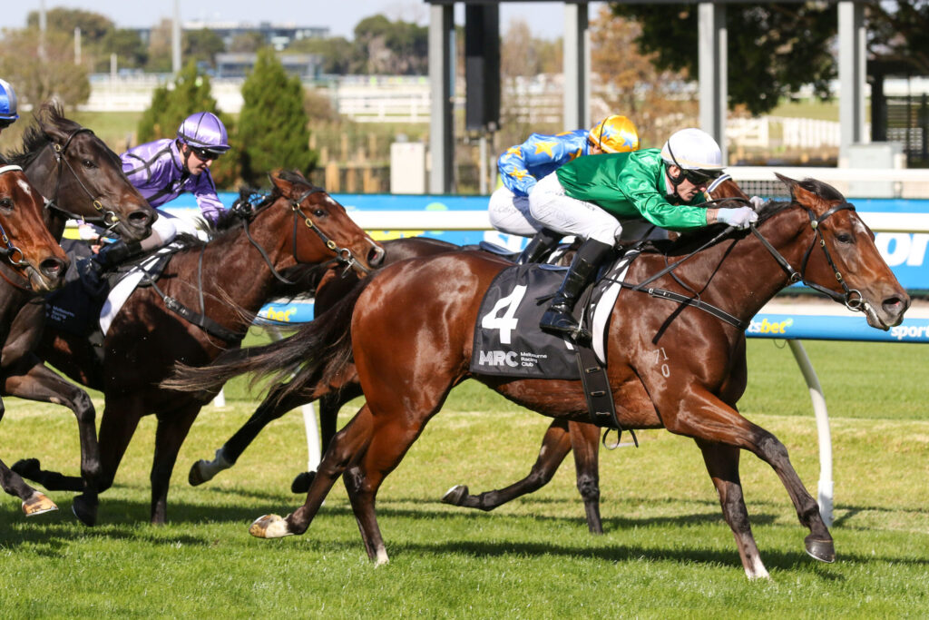 Multiple racehorses and jockeys sprint on a grassy track, colorful silks (purple, blue with stars, green and white) blurred in a close finish behind a rail.