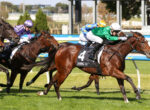 Multiple racehorses and jockeys sprint on a grassy track, colorful silks (purple, blue with stars, green and white) blurred in a close finish behind a rail.