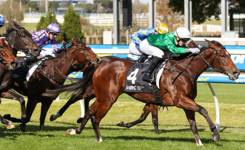 Multiple racehorses and jockeys sprint on a grassy track, colorful silks (purple, blue with stars, green and white) blurred in a close finish behind a rail.