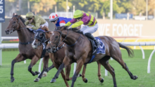 Three racehorses with jockeys sprint toward the finish on a sunny turf track, rails in the background.]?