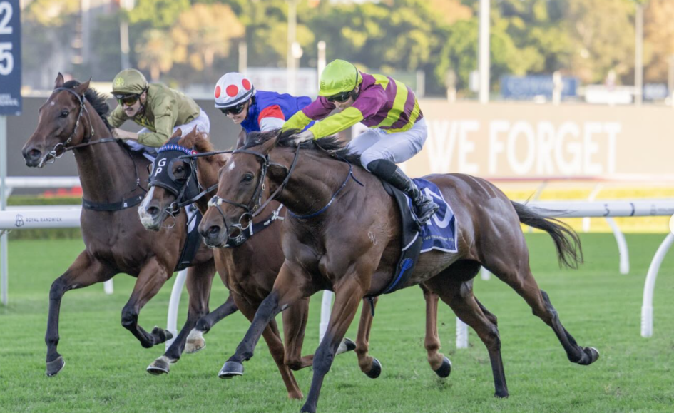 Three racehorses with jockeys sprint toward the finish on a sunny turf track, rails in the background.]?