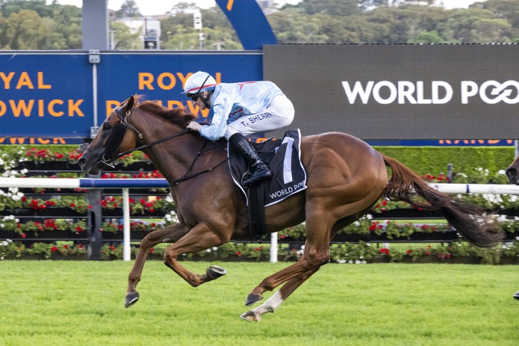 Jockey in pale blue silks rides a brown racehorse at full gallop on a grass track with a colorful advertising backdrop behind them.