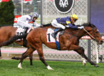 Two jockeys race their brown horses on a grassy track, wearing white/blue and yellow uniforms with helmets, near a decorative railing in the background.