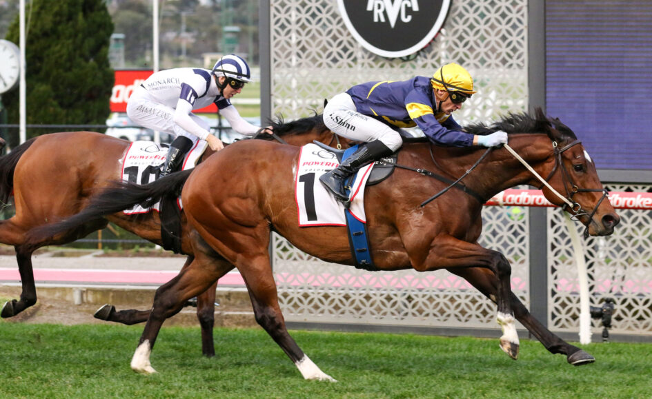 Two jockeys race their brown horses on a grassy track, wearing white/blue and yellow uniforms with helmets, near a decorative railing in the background.