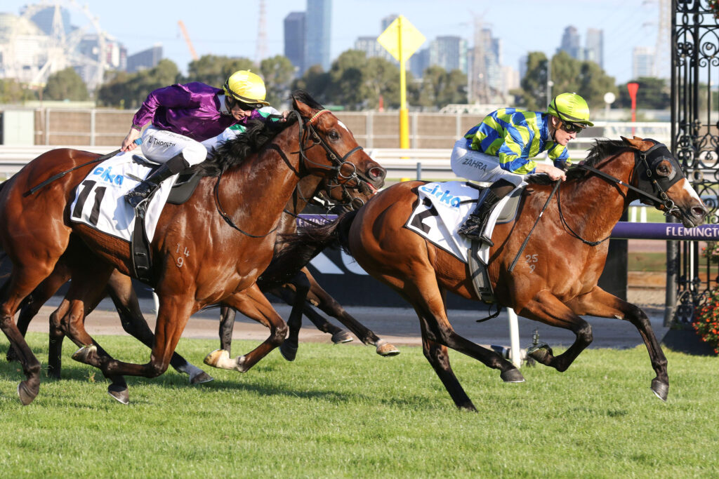 Jockeys in bright silks race three horses on a sunny turf track with a city skyline in the background.