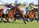 Jockeys in bright silks race three horses on a sunny turf track with a city skyline in the background.
