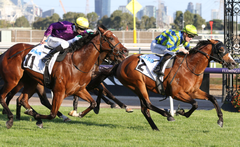 Jockeys in bright silks race three horses on a sunny turf track with a city skyline in the background.