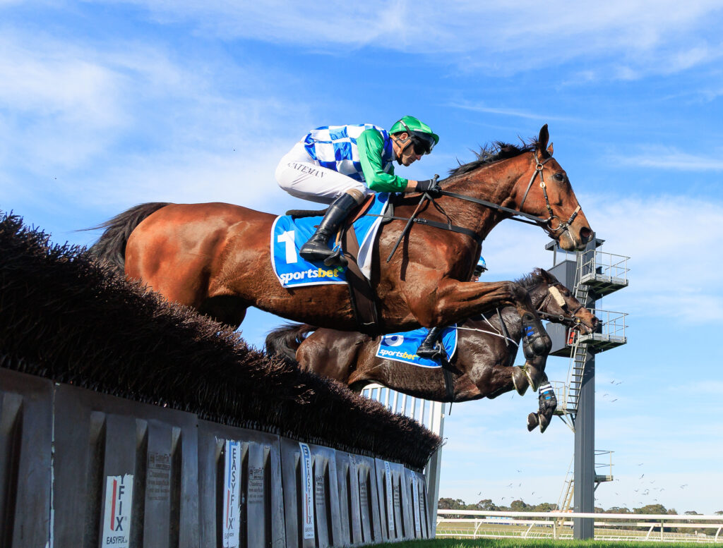 Jockey in green and blue silks rides a brown horse mid-jump over a track barrier against a blue sky.