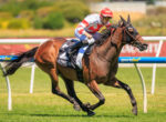Jockey in red helmet and white-red silks rides a dark brown horse at full speed on a grassy racetrack with rails in the background