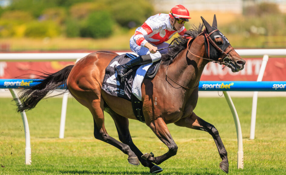 Jockey in red helmet and white-red silks rides a dark brown horse at full speed on a grassy racetrack with rails in the background