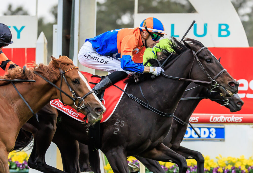 Jockey in orange and blue silks riding a dark horse over a hurdle in a crowded race, with colorful banners in the background.