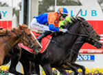 Jockey in orange and blue silks riding a dark horse over a hurdle in a crowded race, with colorful banners in the background.