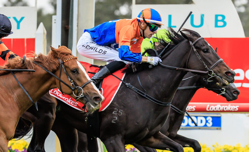 Jockey in orange and blue silks riding a dark horse over a hurdle in a crowded race, with colorful banners in the background.