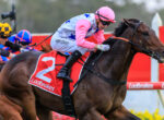 Jockey in pink silks and cap rides a dark brown horse during a race, with other riders and red barriers in the background.