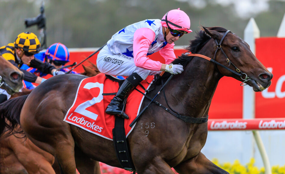 Jockey in pink silks and cap rides a dark brown horse during a race, with other riders and red barriers in the background.