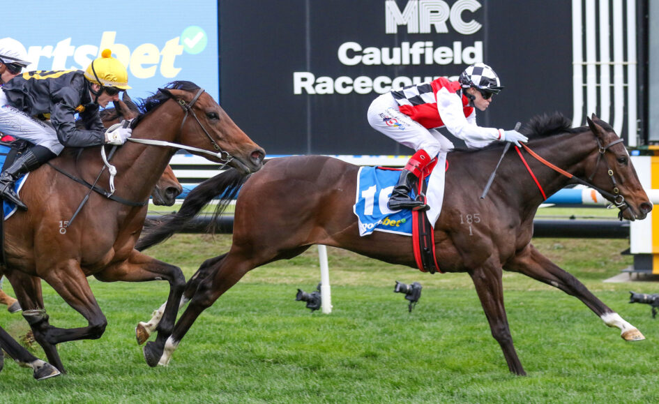 Two jockeys on galloping horses race side by side on a green turf track at Caulfield Racecourse, with advertising boards in the background.