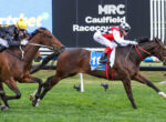 Three racehorses with jockeys sprinting side by side on a grassy track during a race.