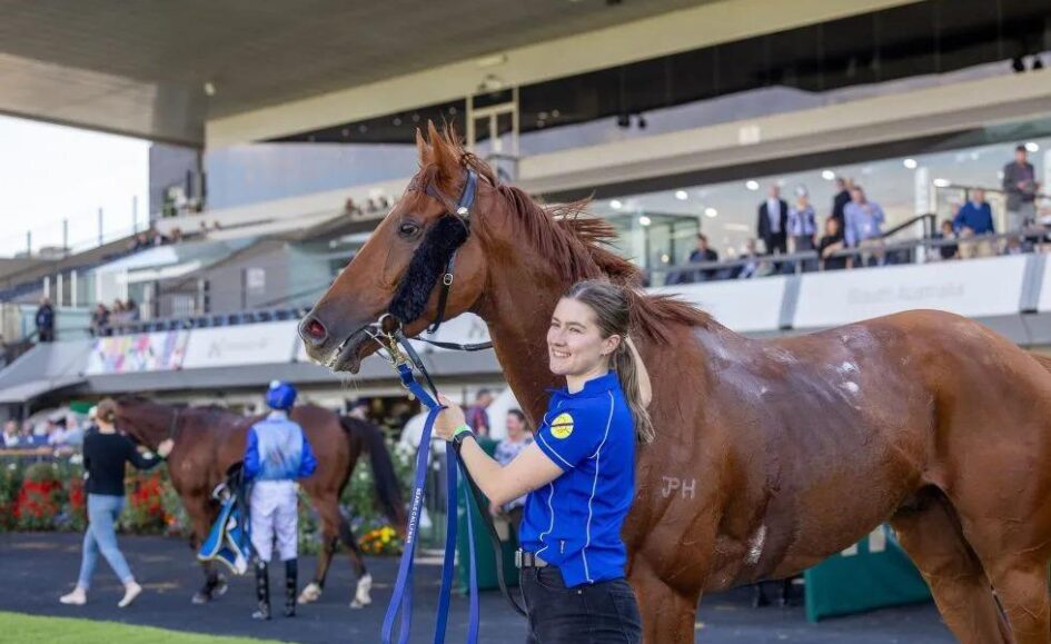 Woman in a blue polo leads a chestnut horse with a bridle at a racetrack venue.