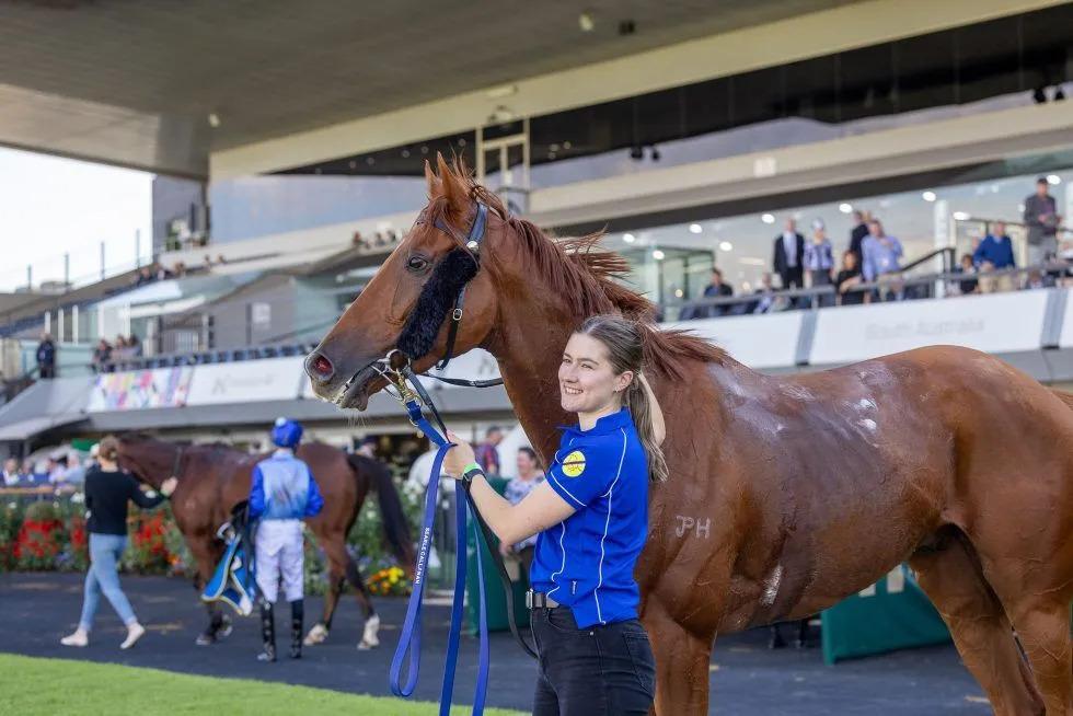 Woman in a blue polo leads a chestnut horse with a bridle at a racetrack venue.