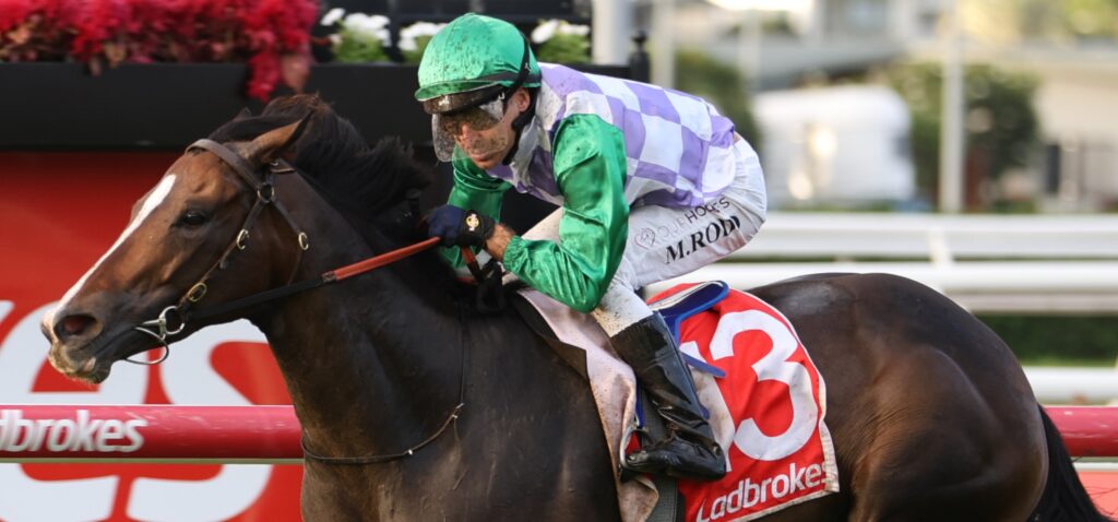 Jockey in green helmet and purple-green silks rides a dark horse past a red rail, Ladbrokes banner visible in the background.