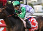 Jockey in green helmet and purple-green silks rides a dark horse past a red rail, Ladbrokes banner visible in the background.
