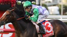 Jockey in green helmet and purple-green silks rides a dark horse past a red rail, Ladbrokes banner visible in the background.