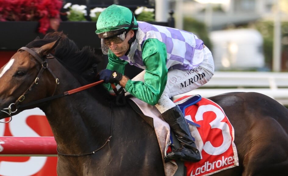 Jockey in green helmet and purple-green silks rides a dark horse past a red rail, Ladbrokes banner visible in the background.