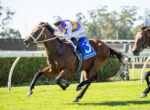 Jockey in purple and white rides a brown horse during a race on a green turf track, with number 3 saddlecloth and another horse close behind.