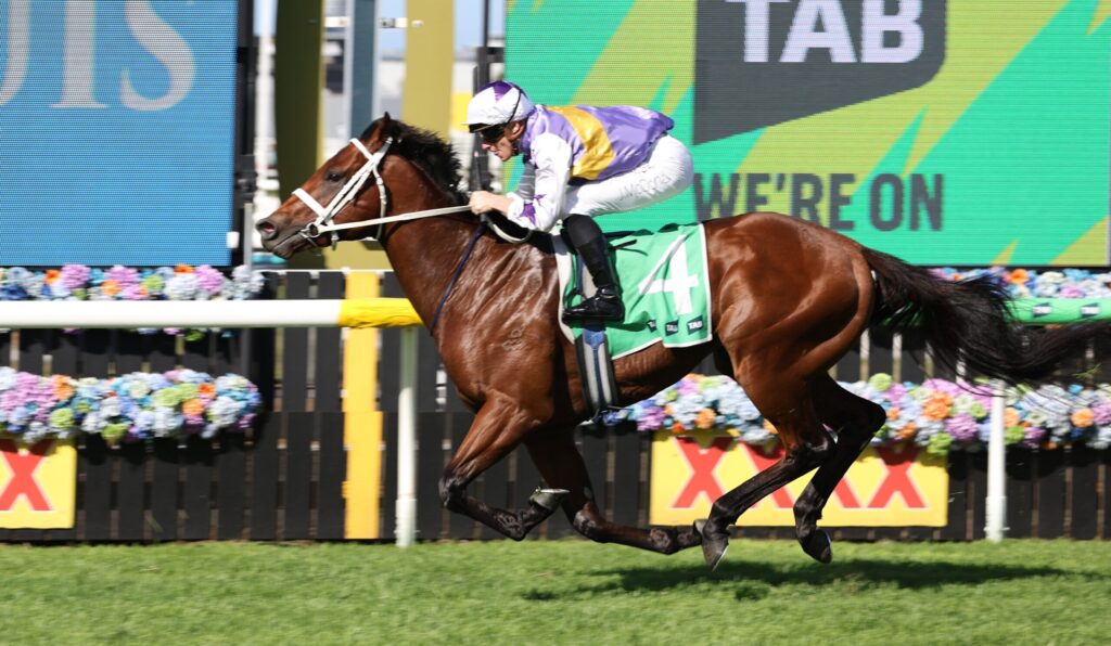 A jockey in purple and white silks rides a brown horse over a hurdle during a race, colorful signage and flowers in the background.