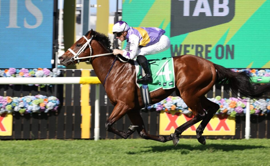 A jockey in purple and white silks rides a brown horse over a hurdle during a race, colorful signage and flowers in the background.