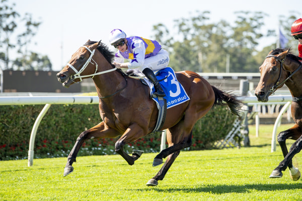 Jockey in purple and white rides a brown horse during a race on a green turf track, with number 3 saddlecloth and another horse close behind.