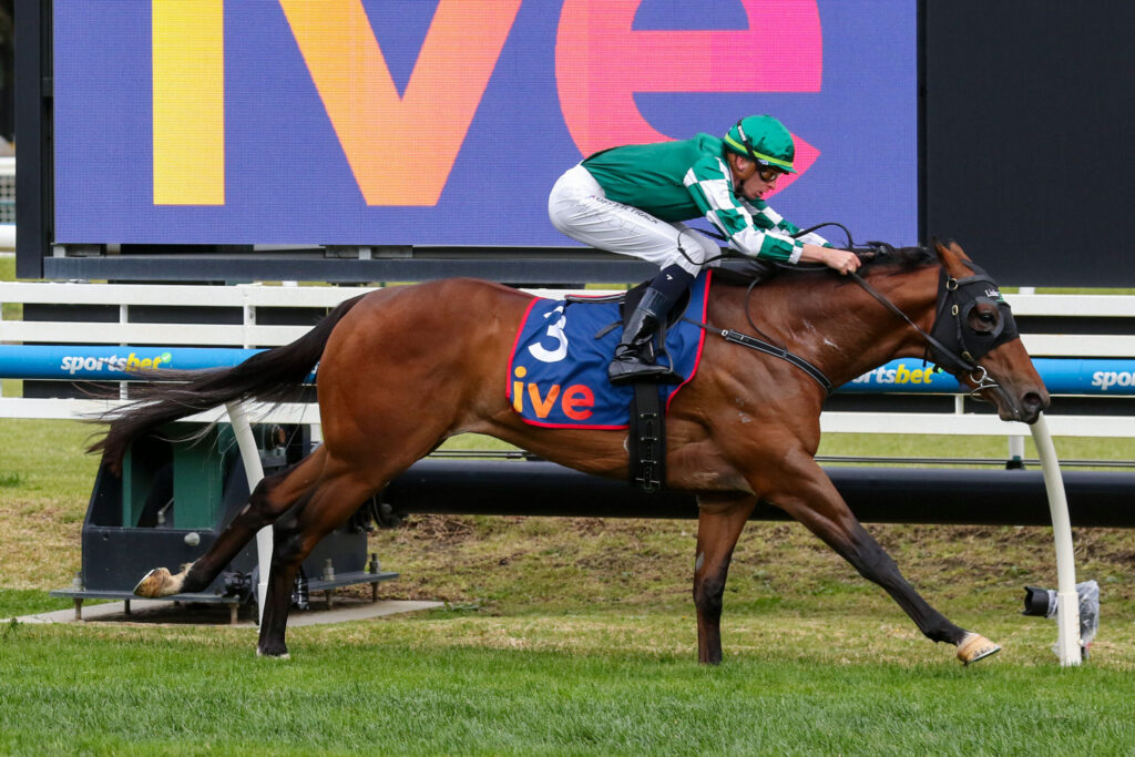 Horse and jockey in green and white silks jump over a hurdle on a race track; blue number-3 saddle cloth visible.