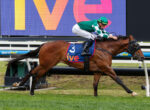 Horse and jockey in green and white silks jump over a hurdle on a race track; blue number-3 saddle cloth visible.