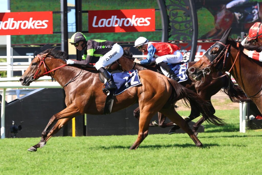 Horse race in progress on a grassy track; lead brown horse with rider wearing blue number 72 saddle cloth.