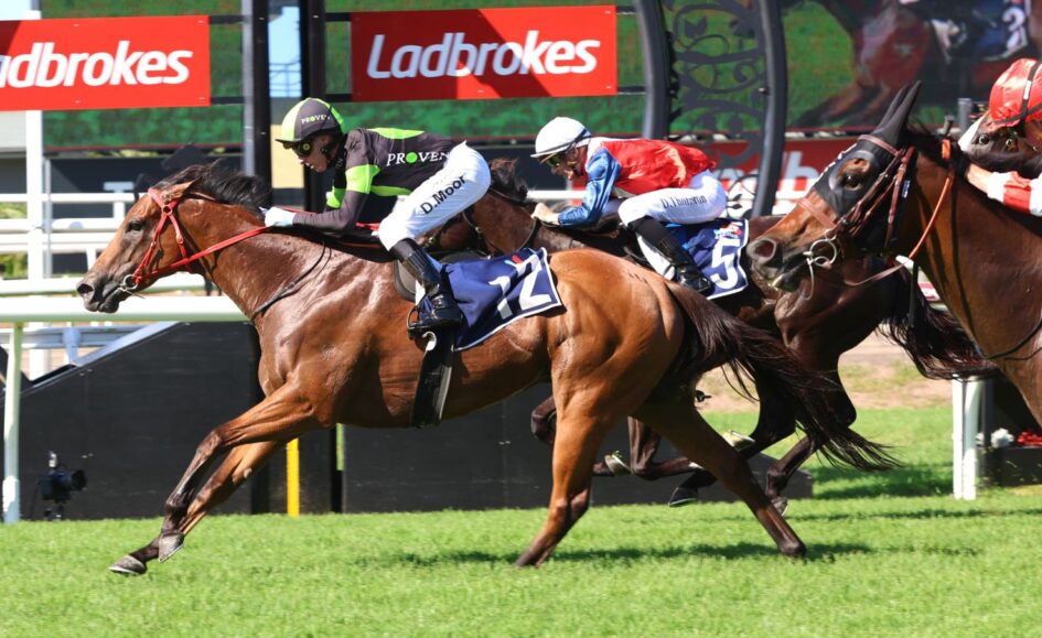 Horse race in progress on a grassy track; lead brown horse with rider wearing blue number 72 saddle cloth.