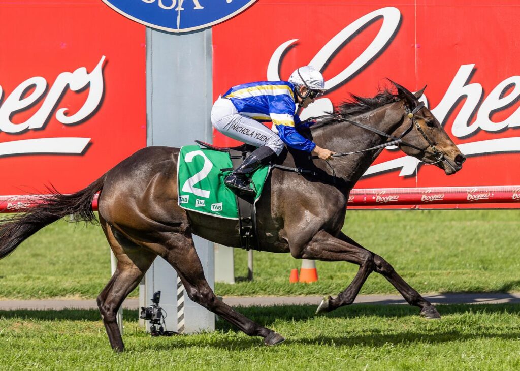 Dark brown racehorse wearing green #2 saddlecloth gallops on a grassy track as a jockey in blue and yellow silks crouches in front, Coca-Cola signage in the background