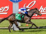 Dark brown racehorse wearing green #2 saddlecloth gallops on a grassy track as a jockey in blue and yellow silks crouches in front, Coca-Cola signage in the background