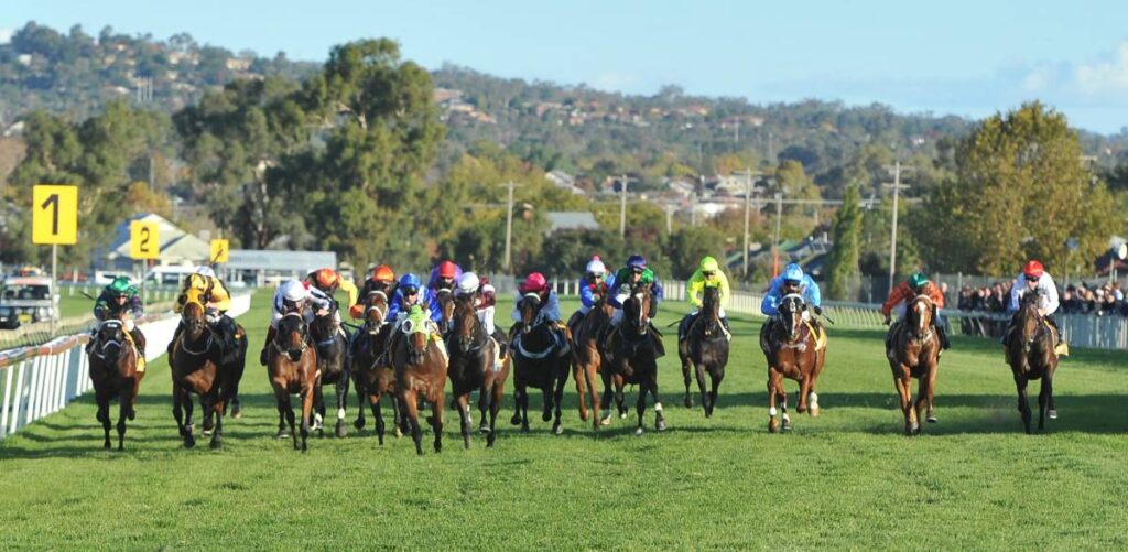 Group of horses and jockeys race down a sunny turf track, colorful silks flying, with yellow distance markers in the background.