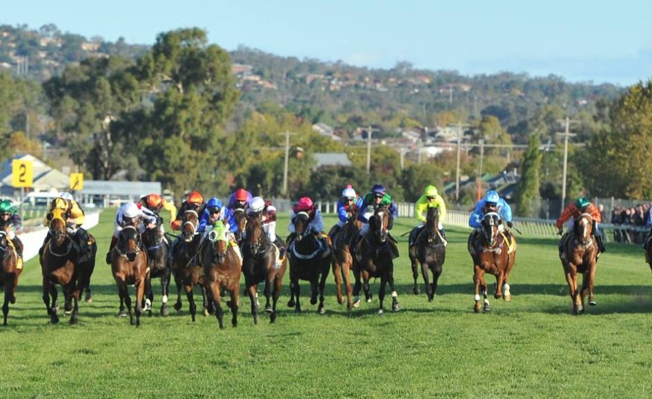 A pack of jockeys on colorful silks race horses down a sunny green turf track with yellow distance markers in the background.