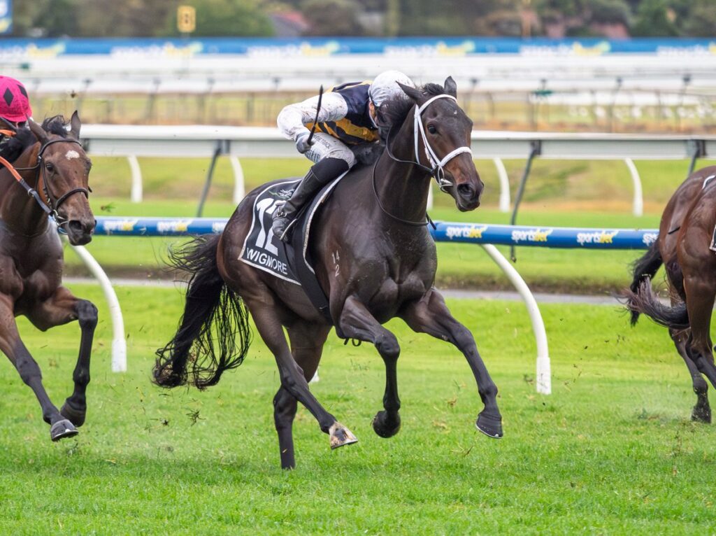 Dark brown racehorse with white bridle and jockey in white-yellow silks leading a turf horse race on a green track, other horses in the background