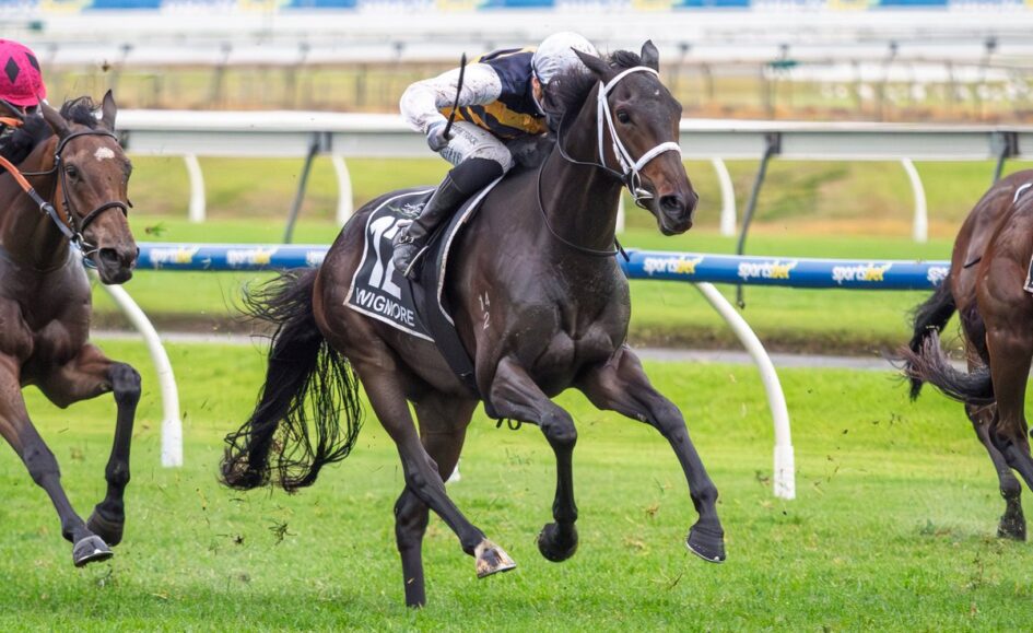 Dark brown racehorse with white bridle and jockey in white-yellow silks leading a turf horse race on a green track, other horses in the background