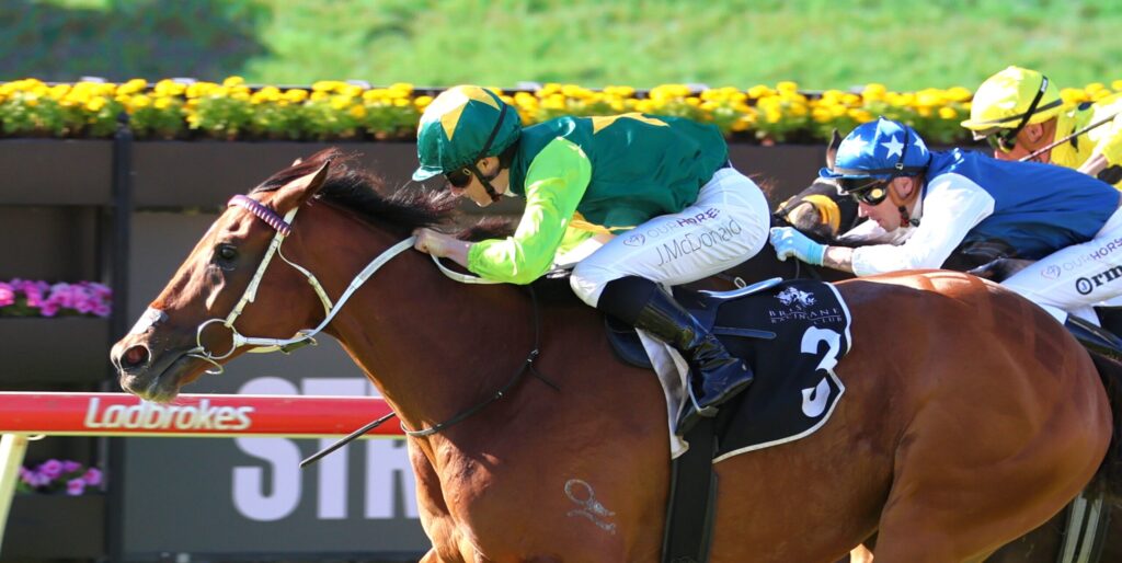 Jockeys in green, blue, and yellow silks race a brown horse at full speed on a track.