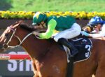 Jockeys in green, blue, and yellow silks race a brown horse at full speed on a track.