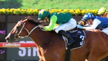 Jockeys in green, blue, and yellow silks race a brown horse at full speed on a track.